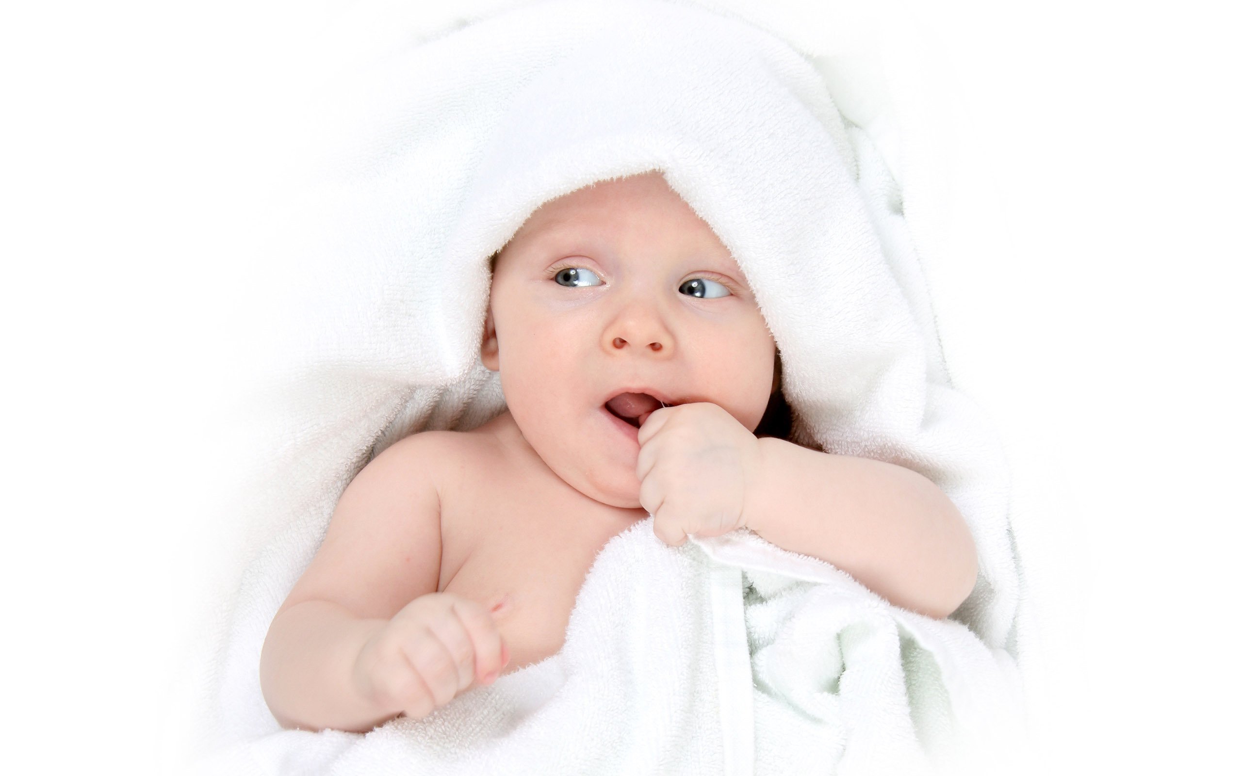 捐卵公司美国第三代试管婴儿成功率